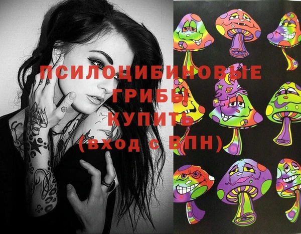 прущий лед Майский