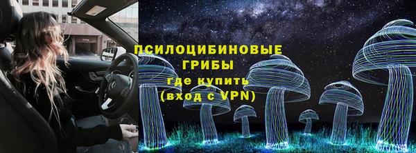 тгк Магадан