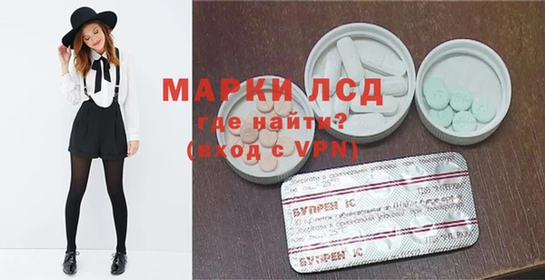 ECSTASY Магас