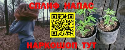 spice Балашиха