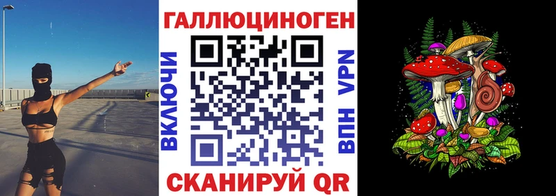 магазин    Стерлитамак  Псилоцибиновые грибы GOLDEN TEACHER 