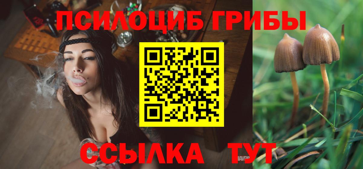 Псилоцибиновые грибы прущие грибы Стерлитамак