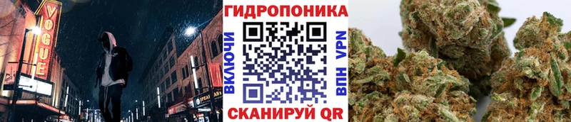 Бошки Шишки ГИДРОПОН  Стерлитамак 