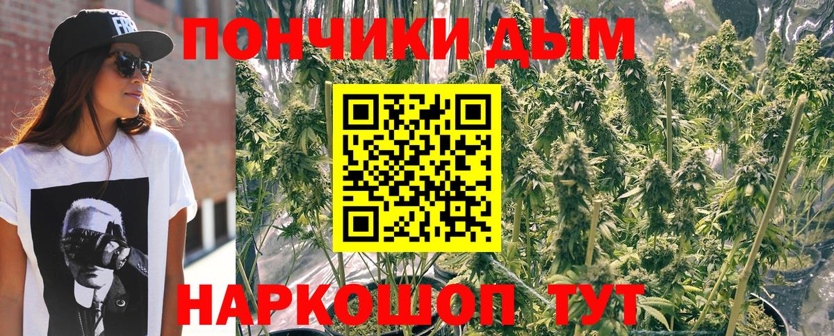 Шишки марихуана семена  Стерлитамак  Каннабис VHQ  Марихуана SATIVA & INDICA 